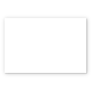 Blank
