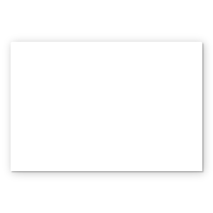 Blank