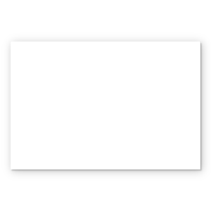 Blank