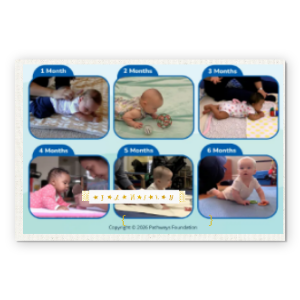 Photobook Album Foto Custom - Happy Family