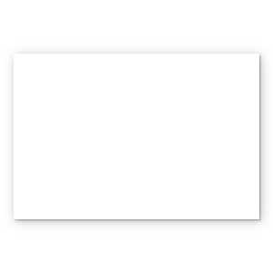 Blank